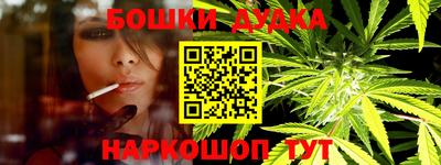 тгк Обь
