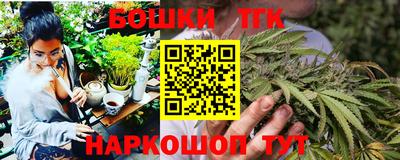 тгк Обь