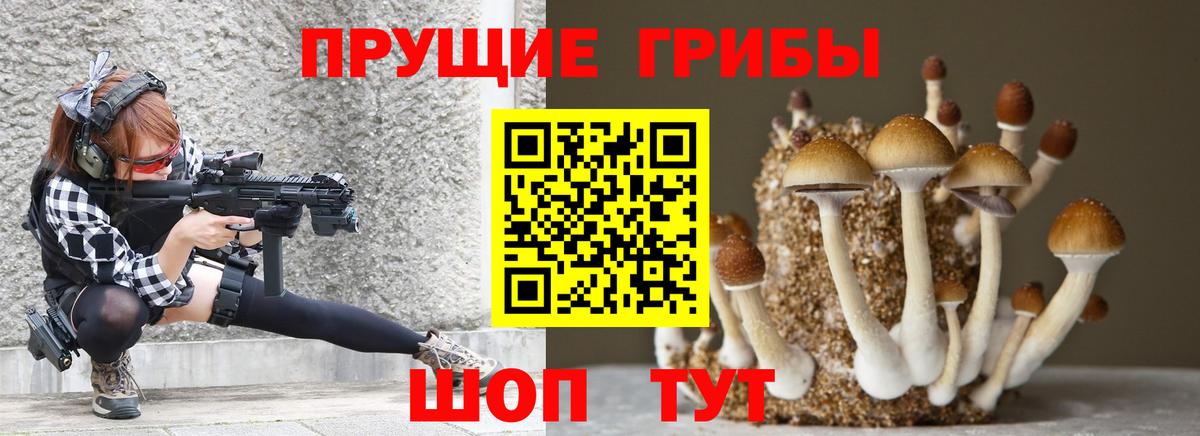 Сертолово  Псилоцибиновые грибы Psilocybine cubensis  Псилоцибиновые грибы Cubensis  Вход с VPN 